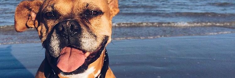 Morgan_Acosta's profile banner image