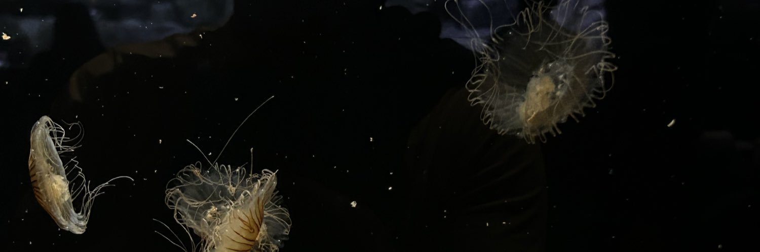 ohimleslee's profile banner image