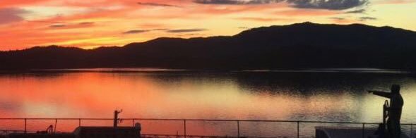 Mike McDowall banner