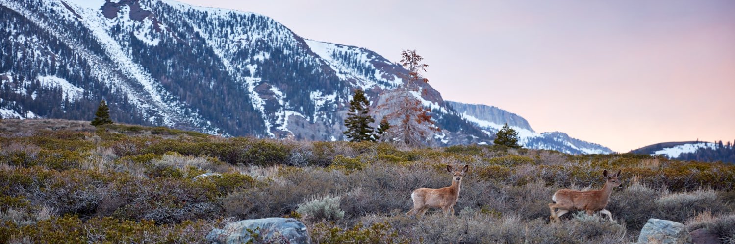 HotShotGear's profile banner image