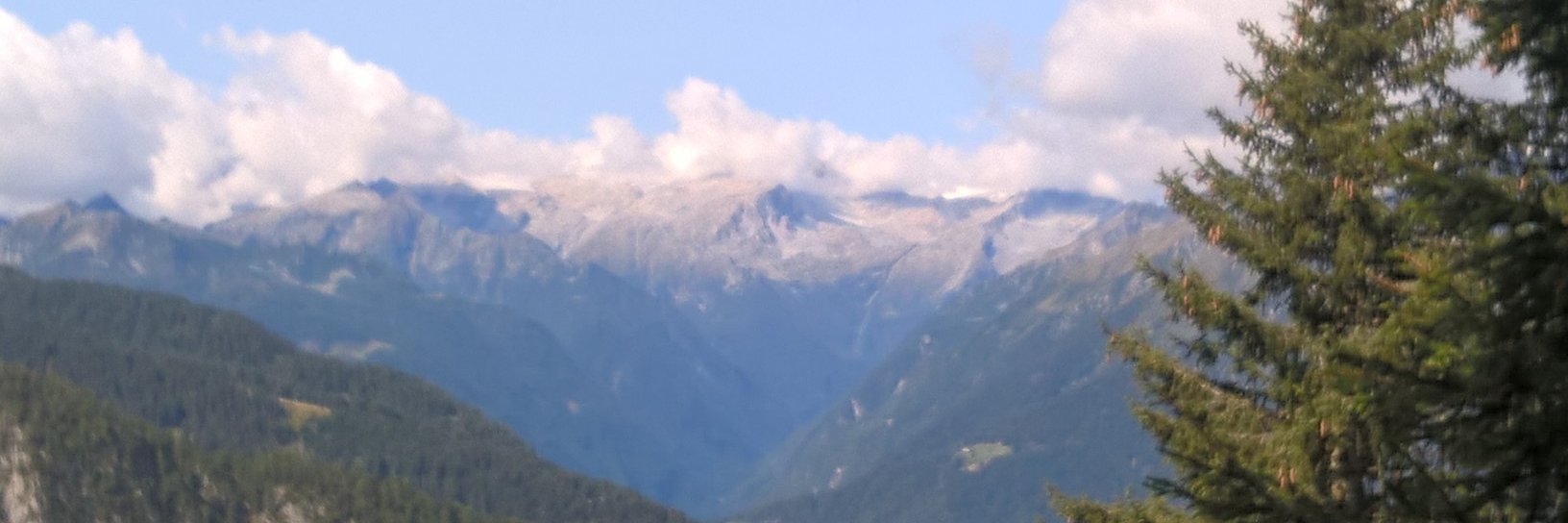 presselli_s's profile banner image