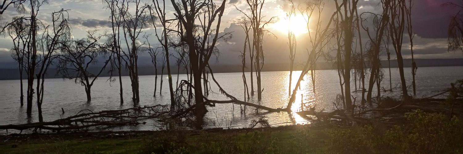 VINKIBET's profile banner image