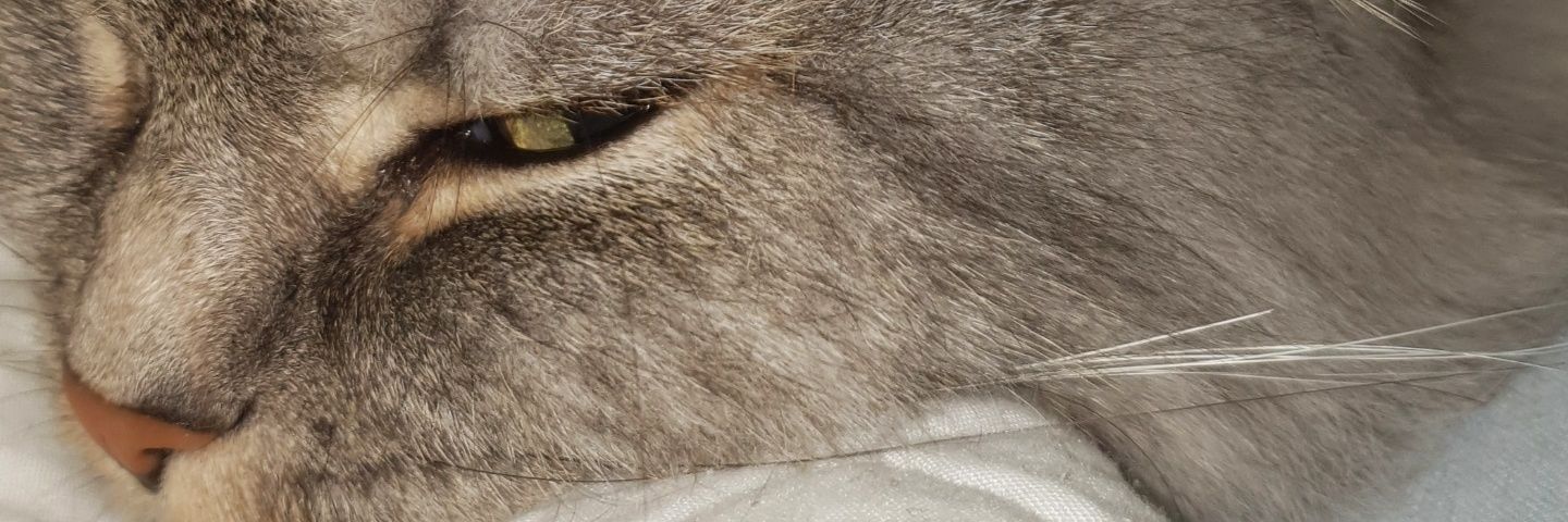 _oskar7's profile banner image