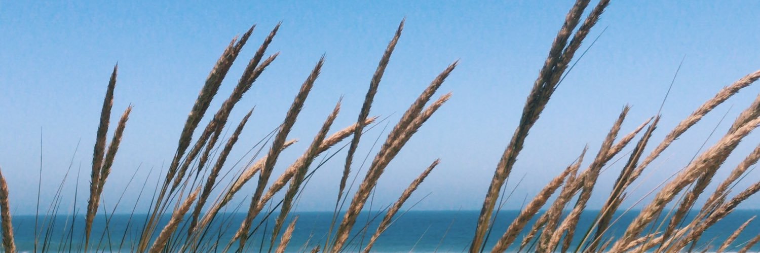 agustigna's profile banner image