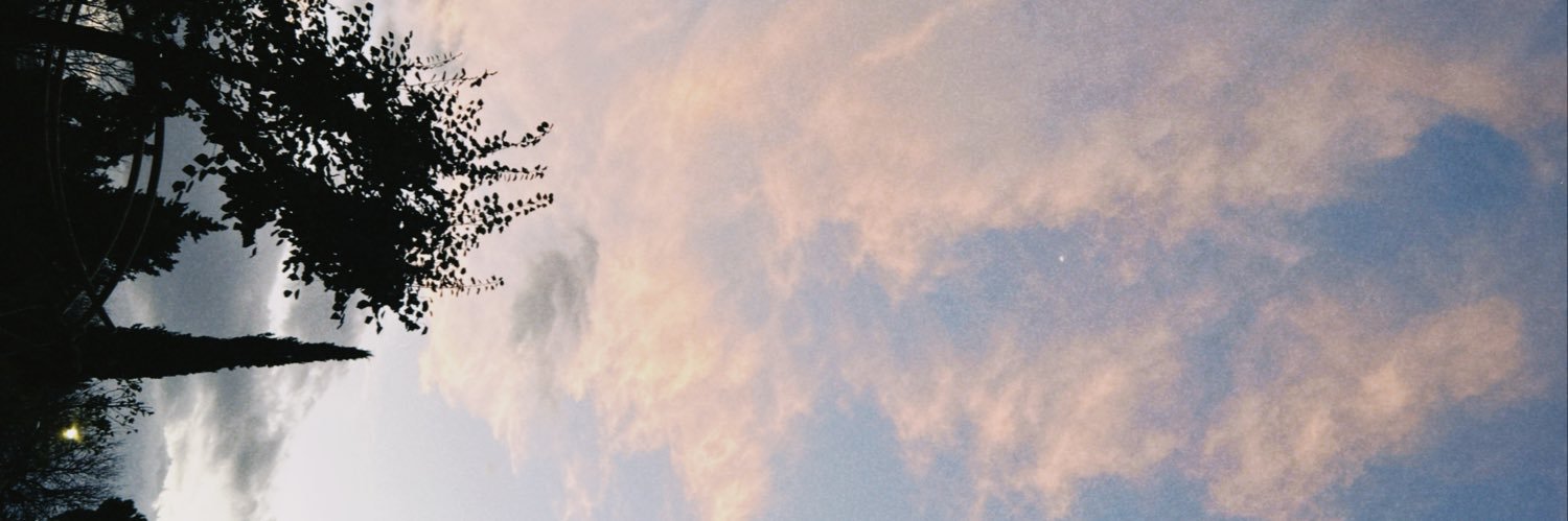 ogicelebi's profile banner image