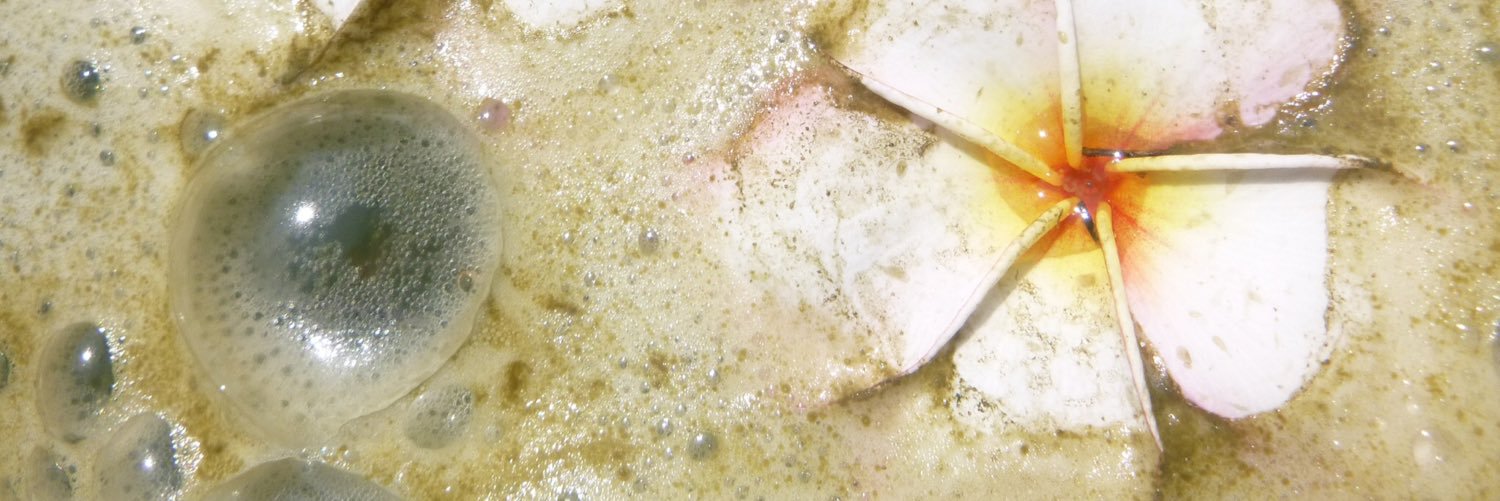 MPalowski's profile banner image