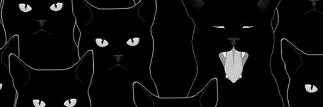 DiscoKittyTek's profile banner image