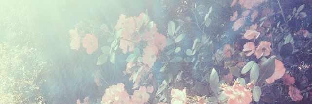 ODP_A's profile banner image