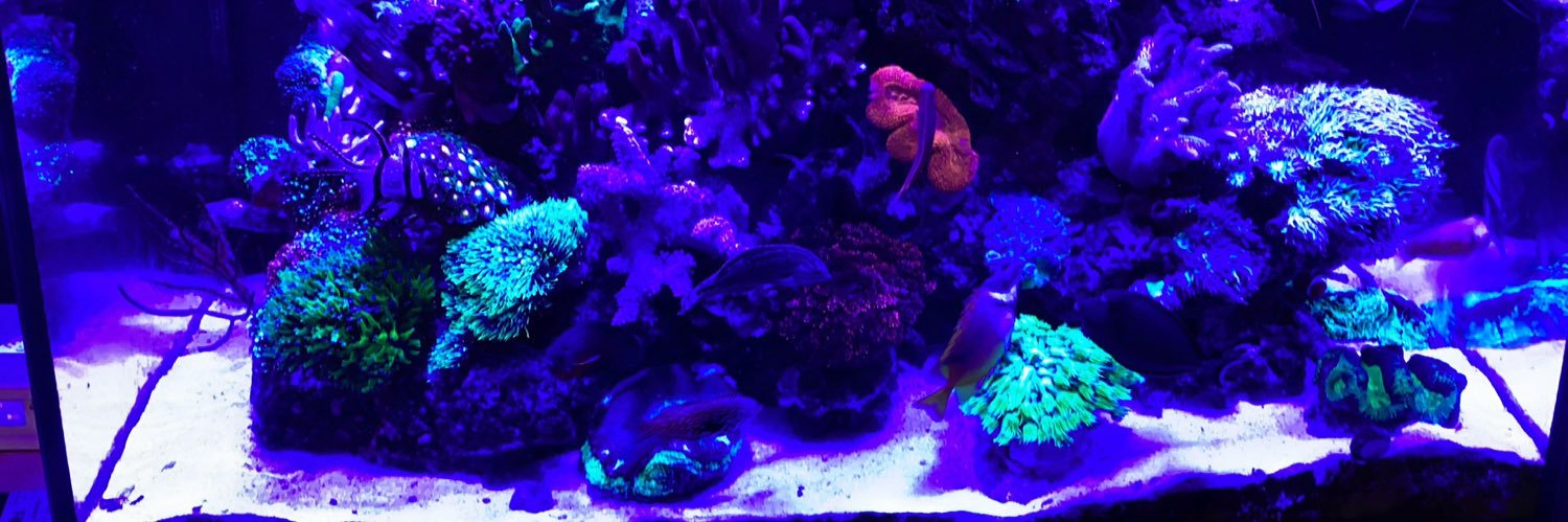 NigelWFisher's profile banner image