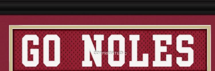 NolesRec's profile banner image