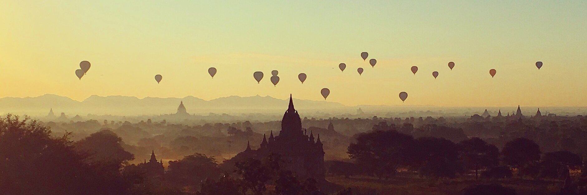 Amanda Kingsmith banner