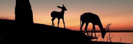 M_A_YM's profile banner image