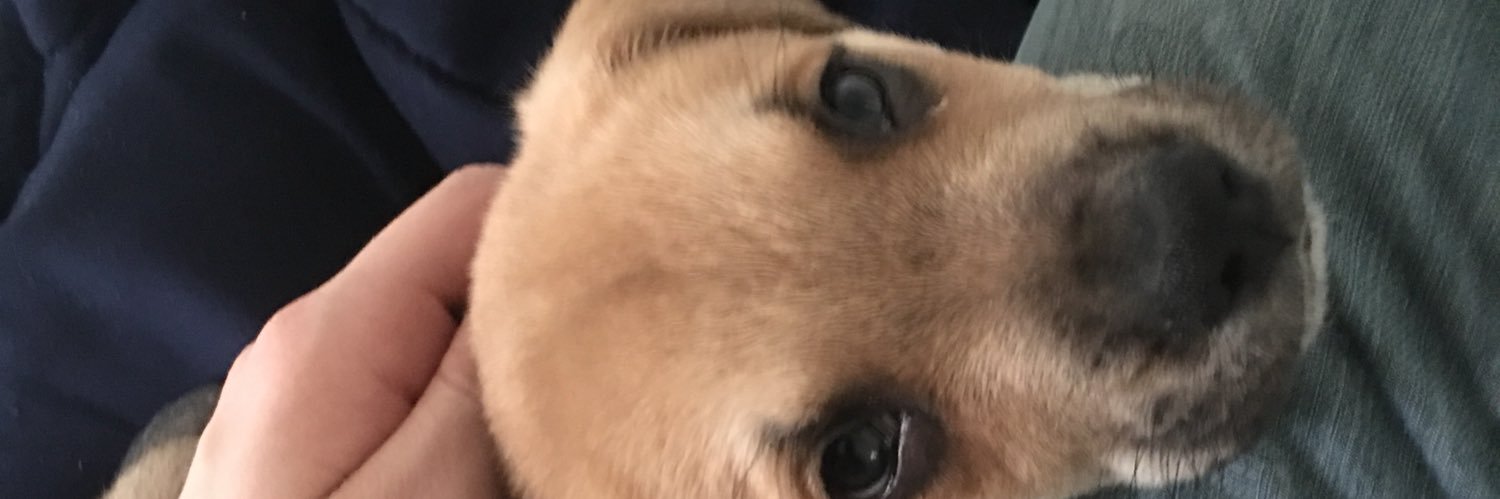 mitchelll507's profile banner image
