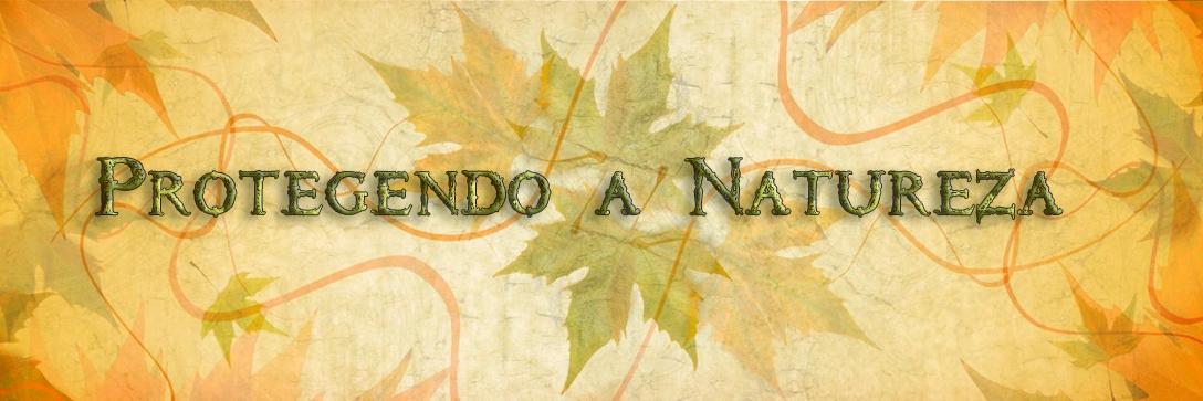 Ambiente_Na_Net's profile banner image