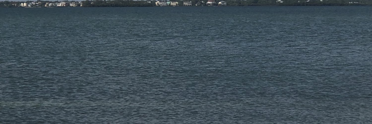 OnreeB's profile banner image