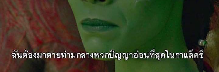 นังแมว ตะกะ banner