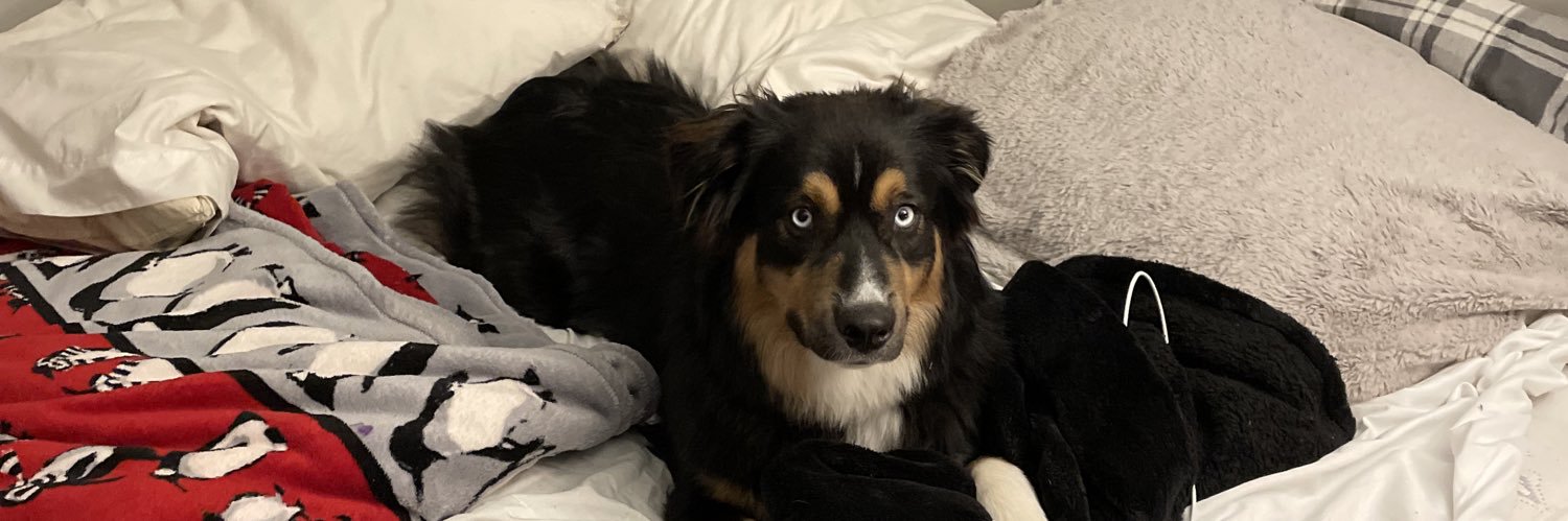 reeseburke4's profile banner image