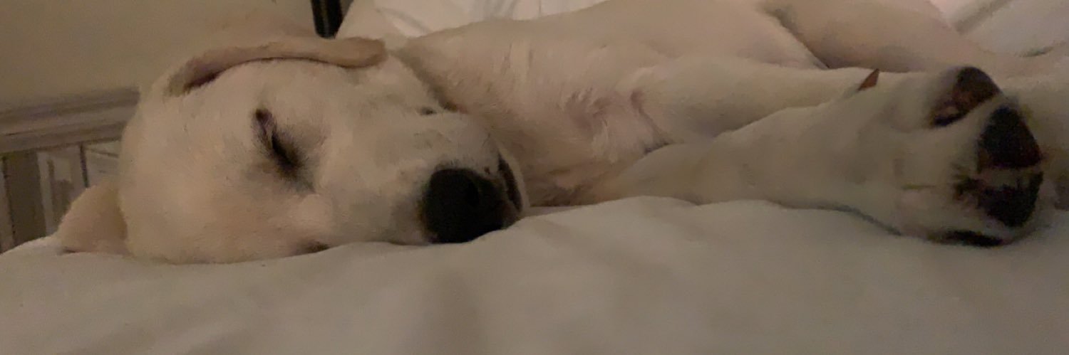 chloelaneeee's profile banner image