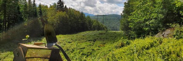 THESTEFiNATOR Profile Banner