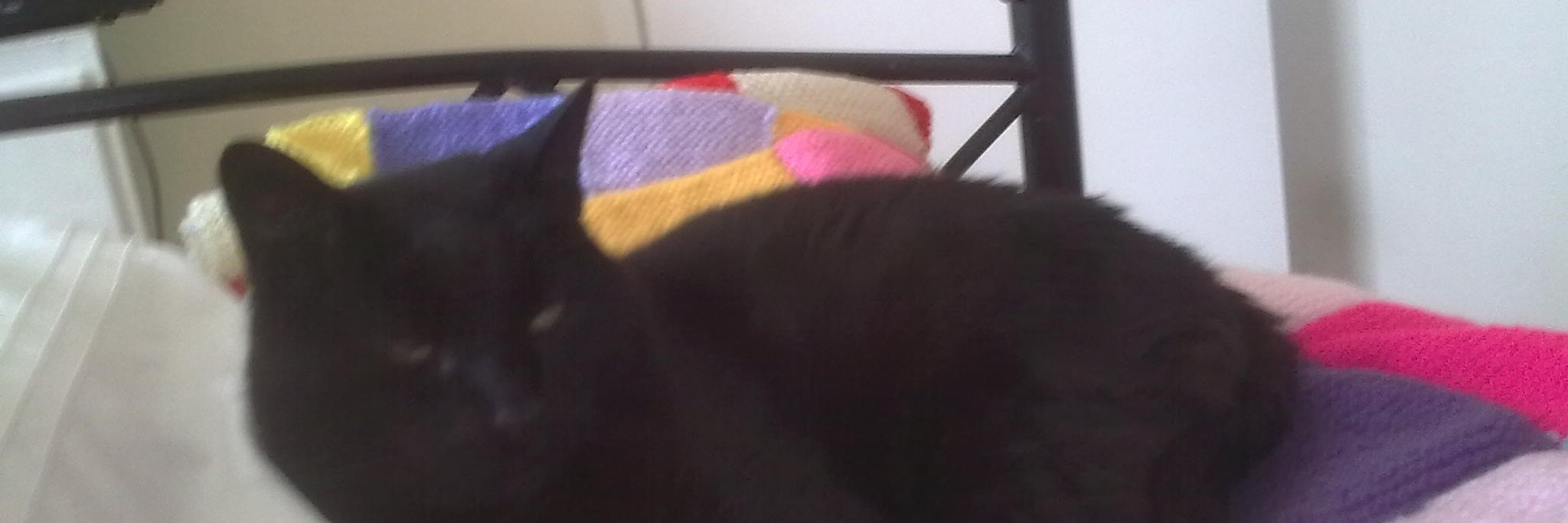 LenaAdams34's profile banner image
