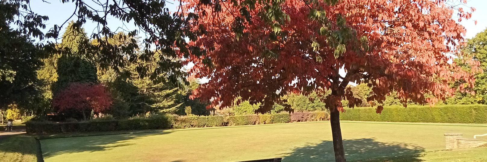 bencoleus's profile banner image