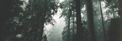 sinfulsider's profile banner image