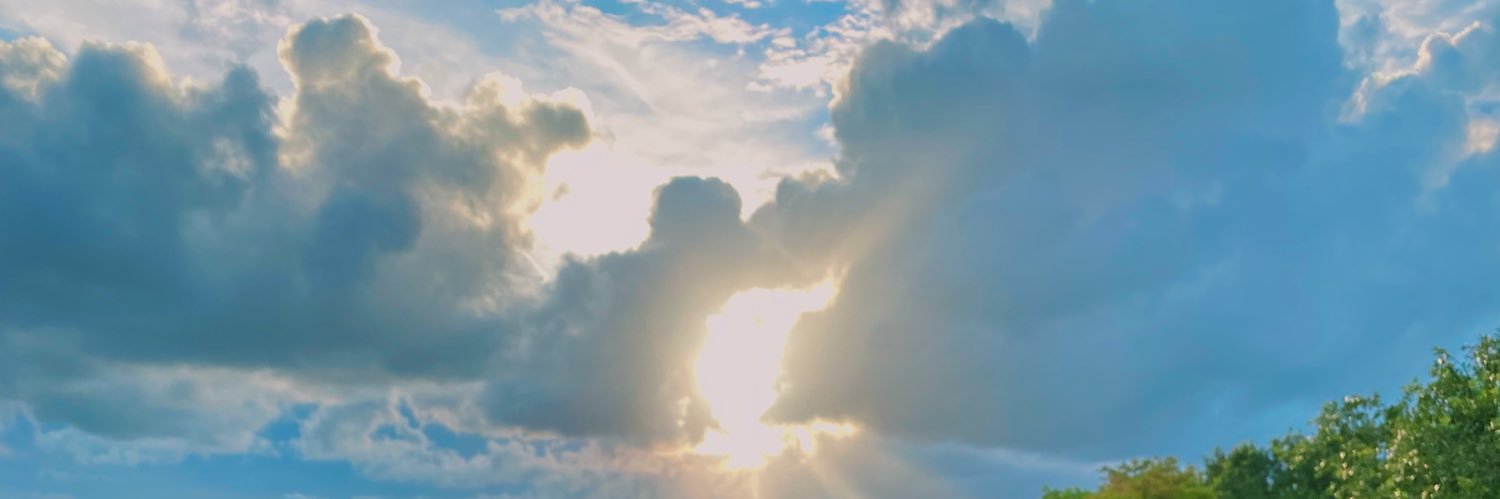 ameliacmares's profile banner image