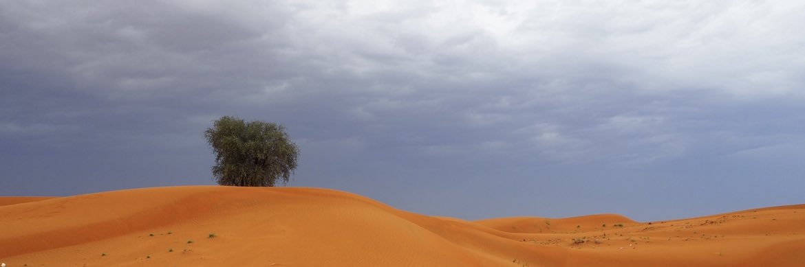 Andrew Williams OBE banner