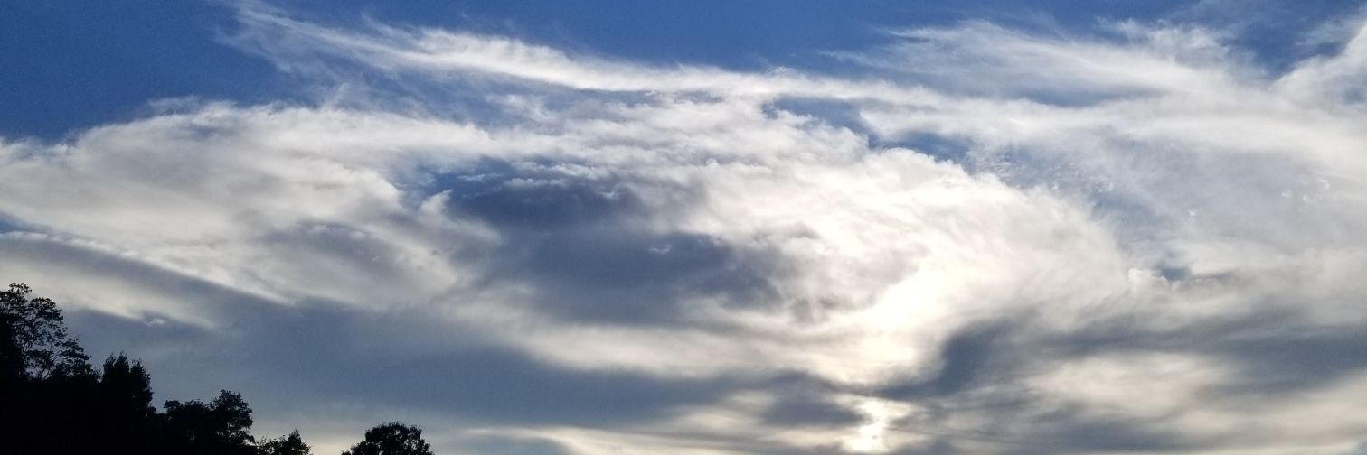 MolinaW's profile banner image