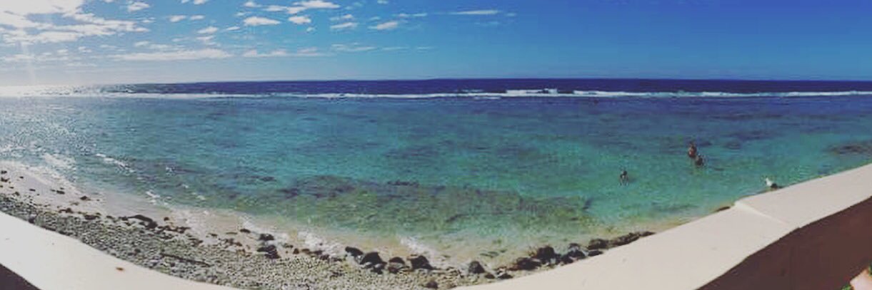 Harley Rodeka banner