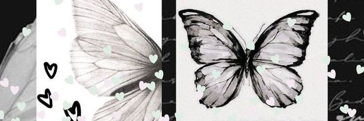 __Cxrolynn's profile banner image