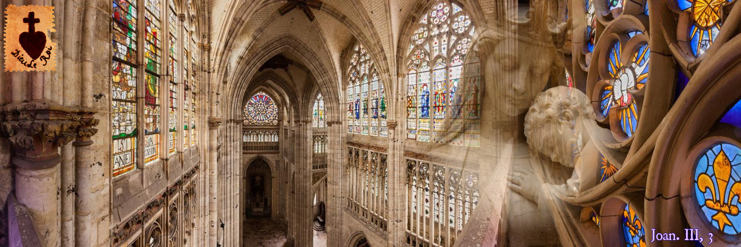 ⚜ Renaissance Française banner