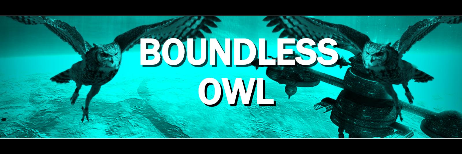BoundlessOwl's profile banner image