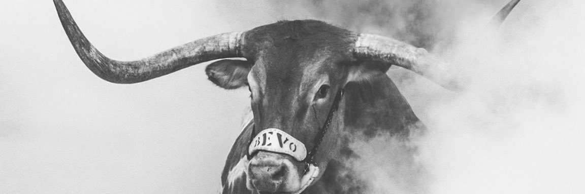 Brevinwilson's profile banner image