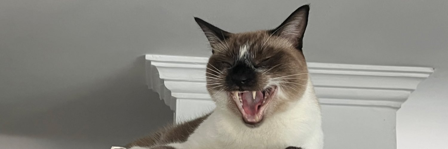 laaaaaurav's profile banner image