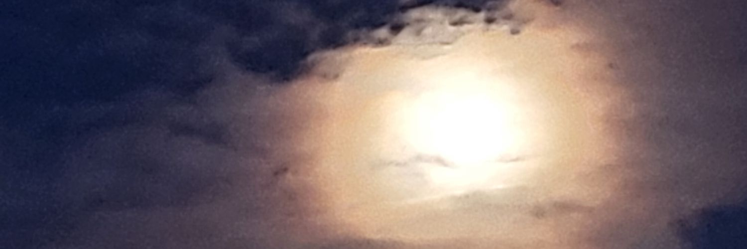 lesleyfeechan's profile banner image