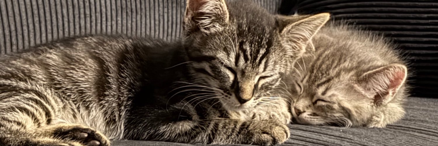 mexiphil_'s profile banner image