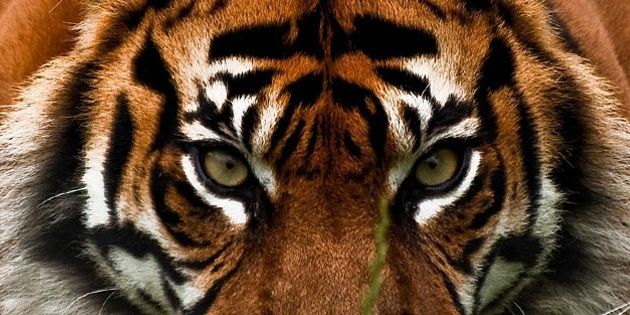 cbernardi125's profile banner image