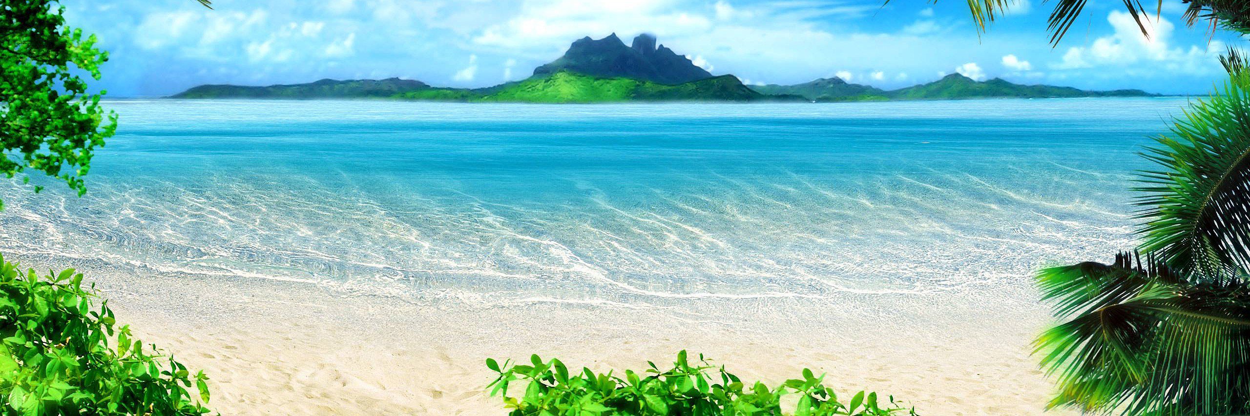 PolyVibez's profile banner image