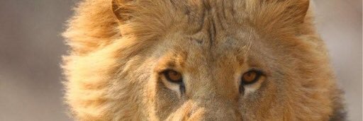 greatness01__'s profile banner image
