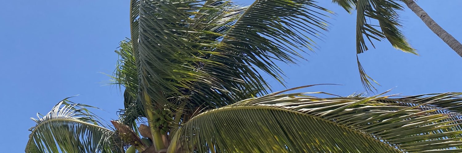 barbs199's profile banner image