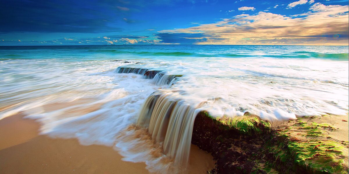 Diane D. Ramirez banner