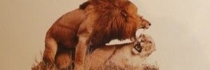 seba140199's profile banner image