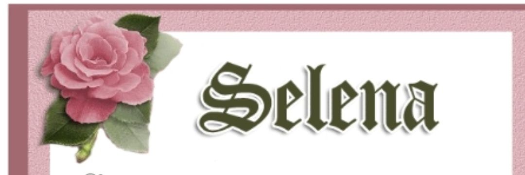 Seleenaa_77's profile banner image