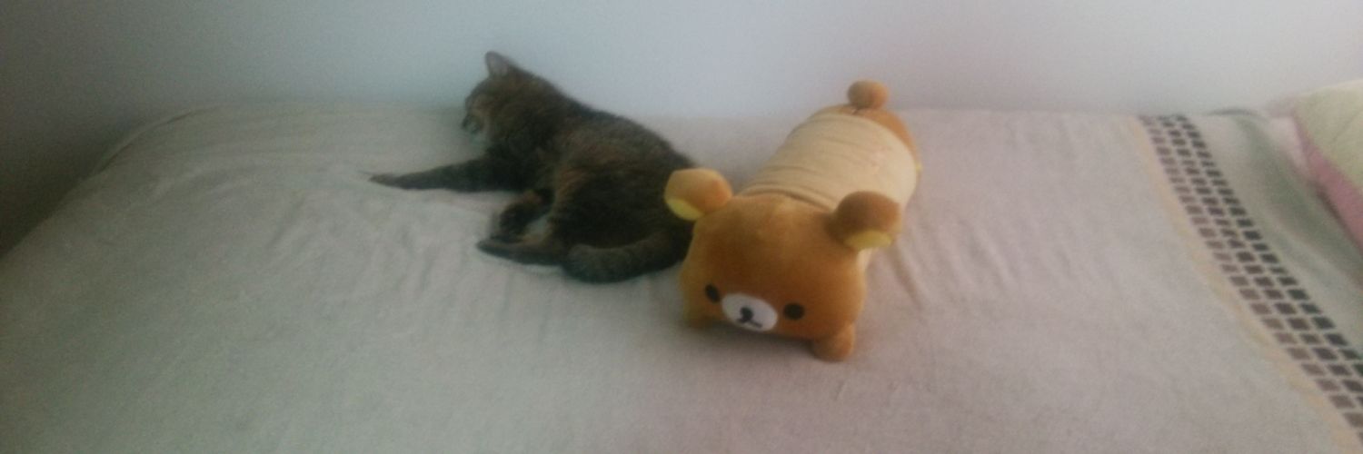 reochichibi's profile banner image