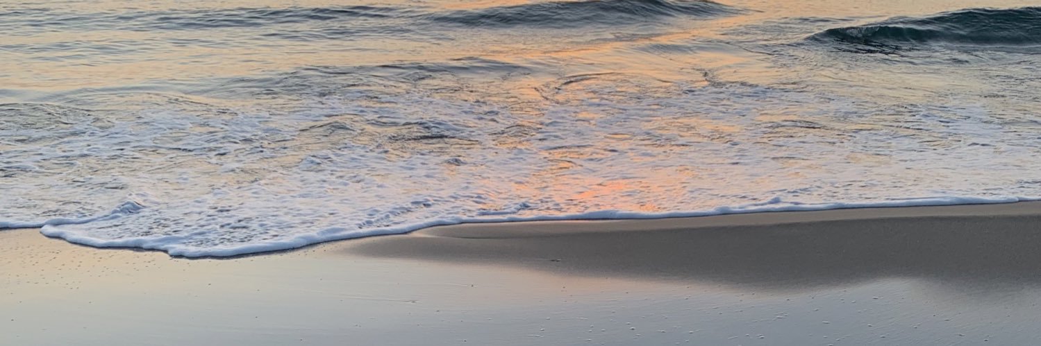 GiuliCuoghi's profile banner image