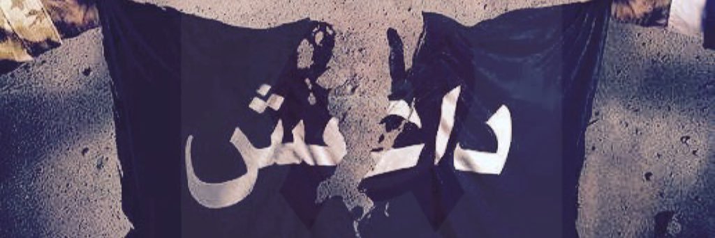 werejectisis's profile banner image