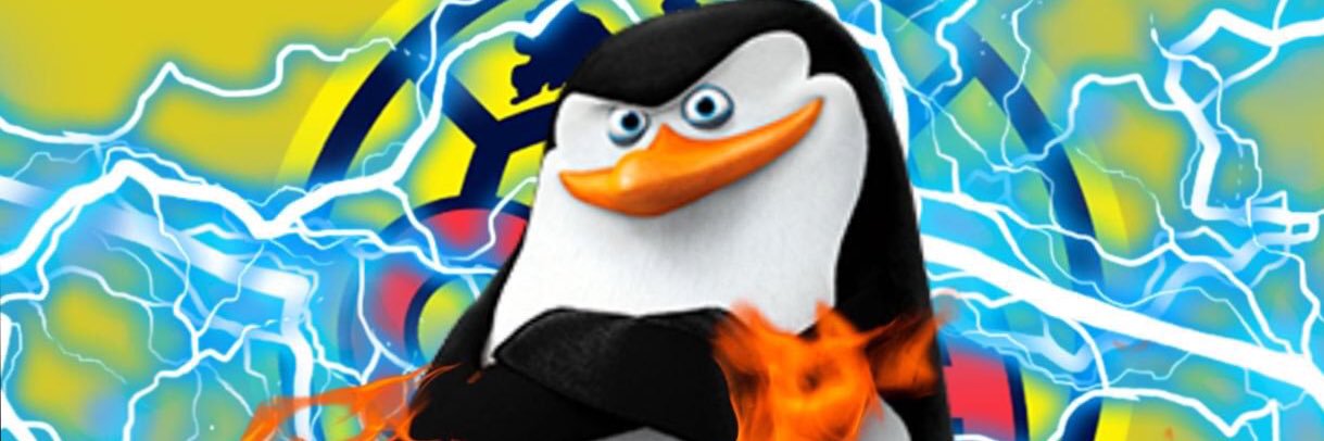 mfjunior2203's profile banner image