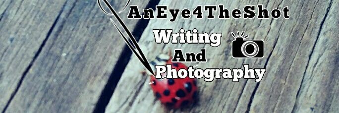 AnEye4TheShot's profile banner image