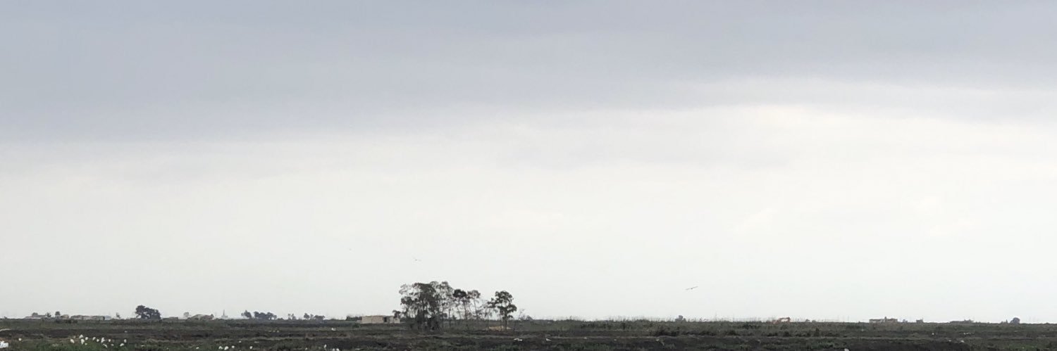 SamirBahnasy's profile banner image